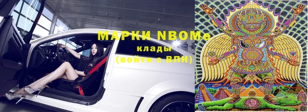 крисы Аркадак