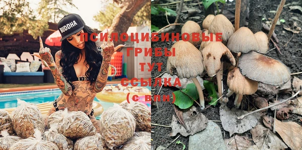 гидра Армянск
