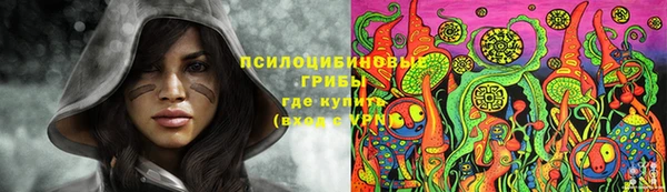 крисы Аркадак