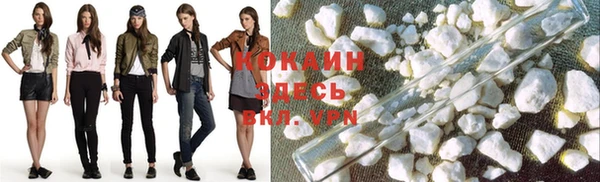 крисы Аркадак