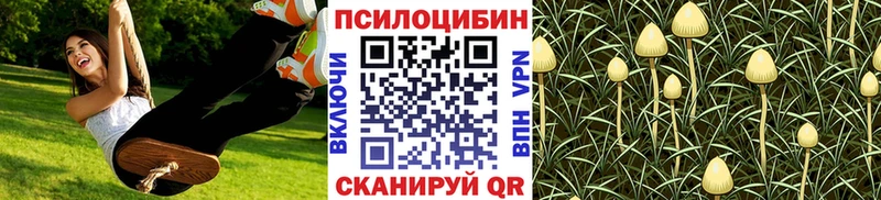 мега онион Приморско-Ахтарск Псилоцибиновые грибы ЛСД где купить наркотик
